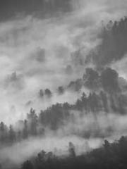 Bones-Eating Marriag