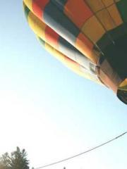 lt;Gingerly, Shen Qi