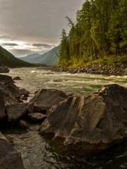 Transmigration: Feel